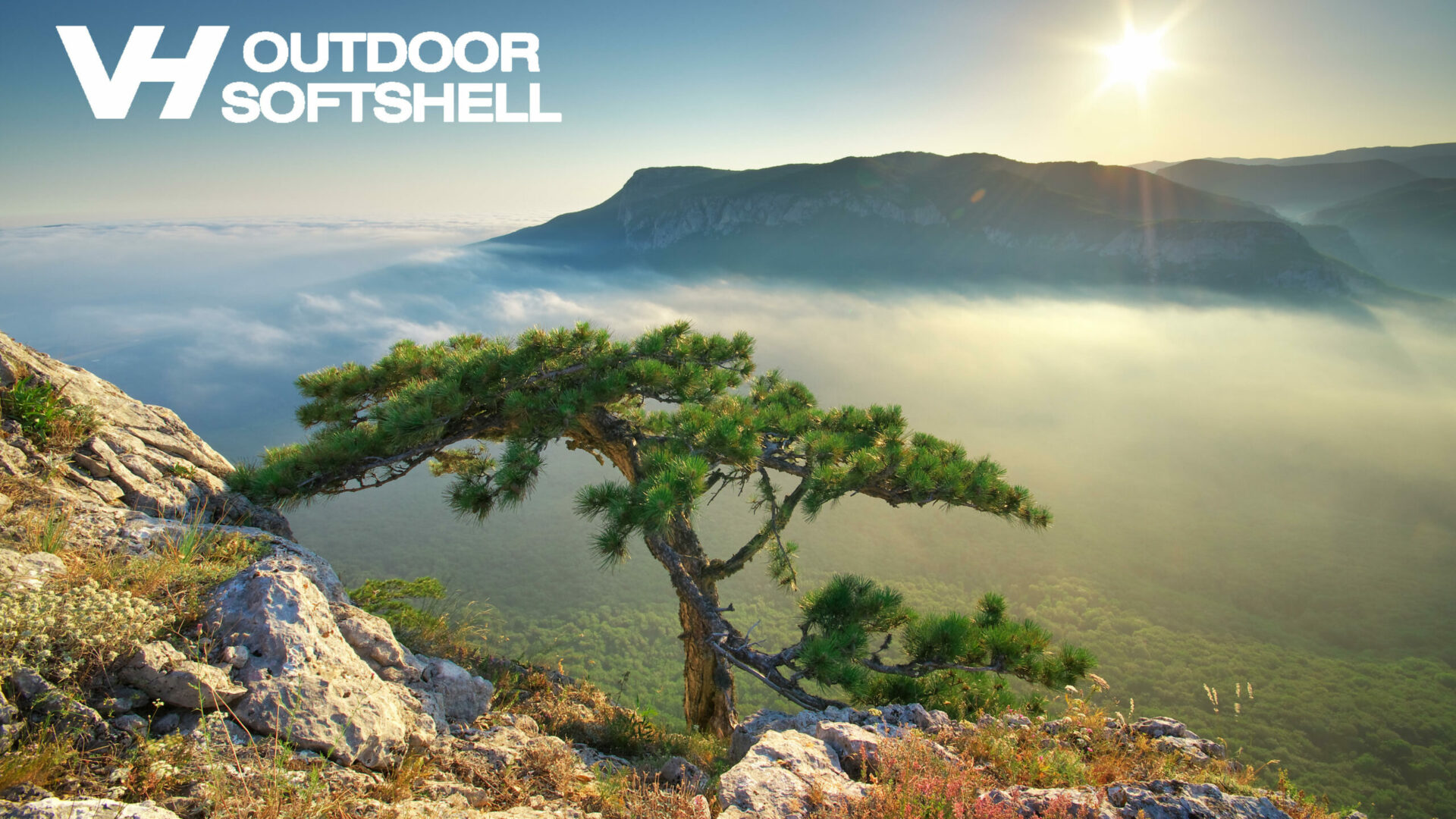 Mountain landscape. Spruce on the edge. Composition of nature.